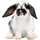 Fauna a flóra