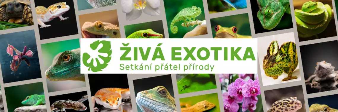 ŽIVÁ EXOTIKA