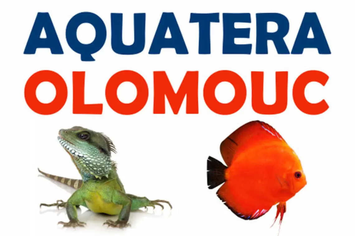 AQUATERA OLOMOUC 