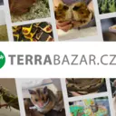 Terrabazar