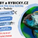 Ryby a Rybičky