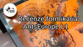 Ukázka formikária z AntsEurope.eu