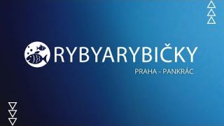 Ryby a Rybičky každé nedělní dopoledne v Praze na PANKRÁCI.